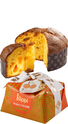 Panettone con Albicocche Pasticceria Filippi