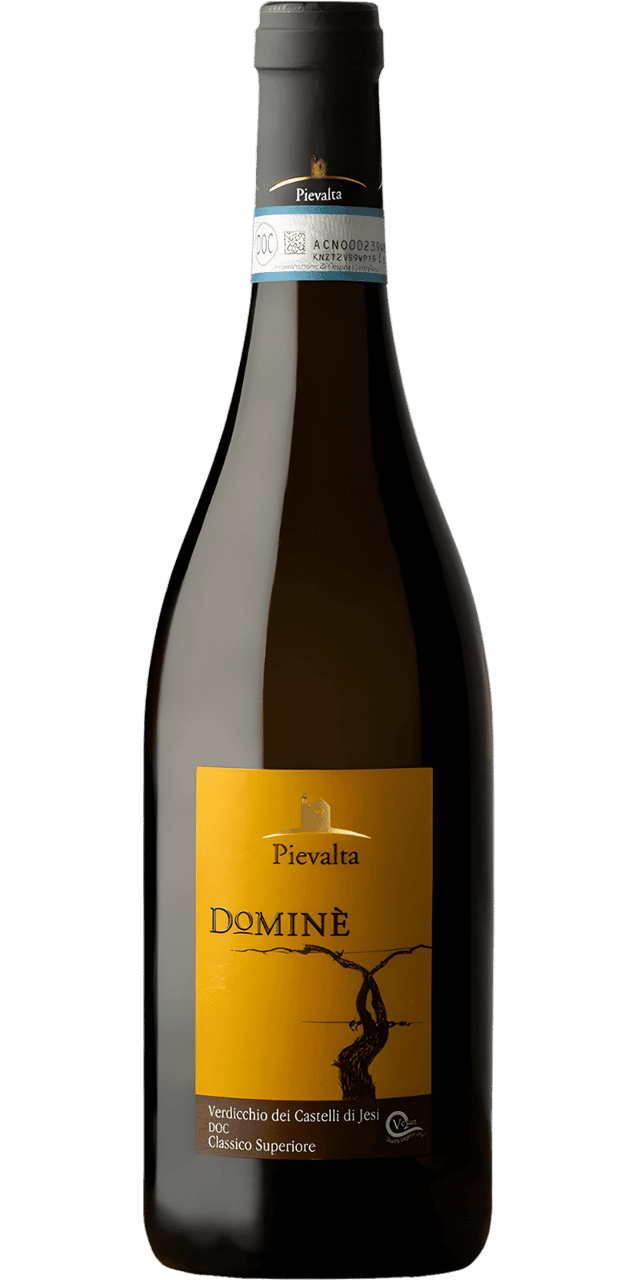 Dominè Verdicchio dei Castelli di Jesi DOC Classico Superiore - Pievalta
