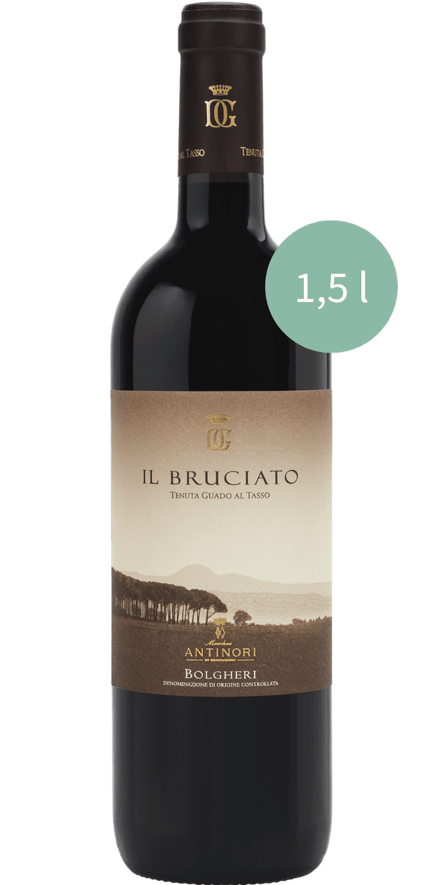 Il Bruciato Bolgheri Rosso DOC Magnum Antinori - 1,5 L / 2023 Il Bruciato Bolgheri Rosso DOC Magnum Antinori - 1,5 L / 2023