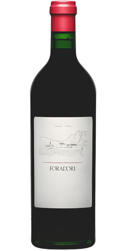 Teroldego IGT Foradori - 0,75 L / 2023 Teroldego IGT Foradori - 0,75 L / 2023