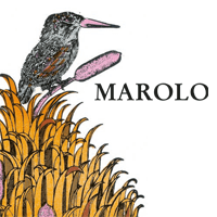 Logo Marolo