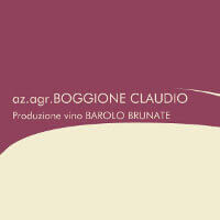 Logo Claudio Boggione