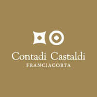 Logo Contadi Castaldi