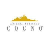 Logo Elvio Cogno