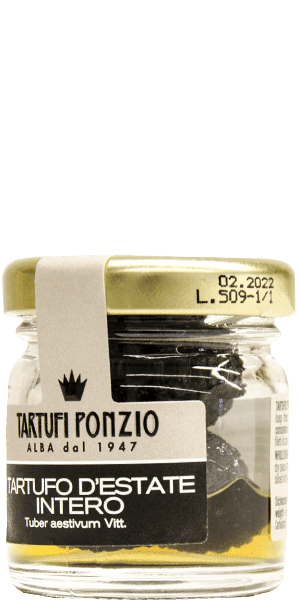 Tartufi Ponzio Alba Ganzer Sommertrüffel 25g