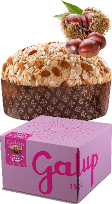Panettone Gran Galup Marrons Glaces Galup 1kg