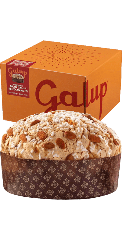 Galup Panettone Gran Galup ohne kandierte Früchte 750g