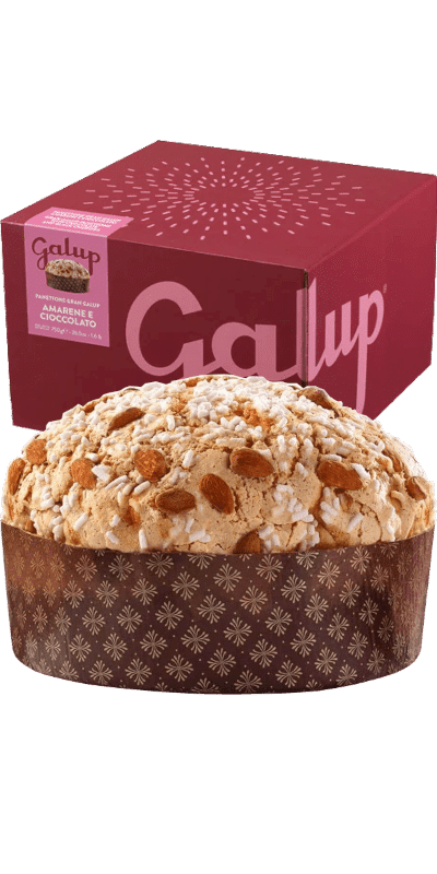 Galup Panettone Gran Galup Amarenakirschen und Schokolade 750g