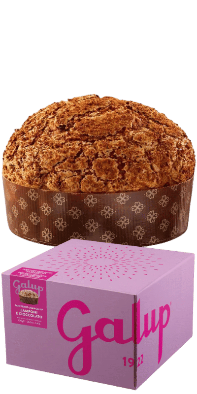 Galup Panettone Gran Galup Himbeeren und Schokolade 750g